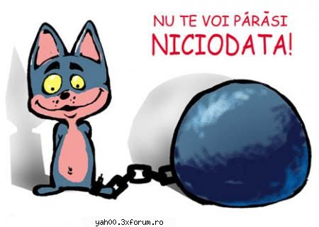 declaratii de dragoste - budgames - discutii generale